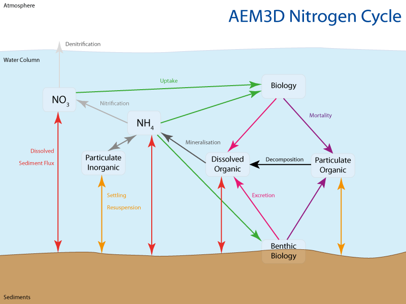 Nitrogen Cycle